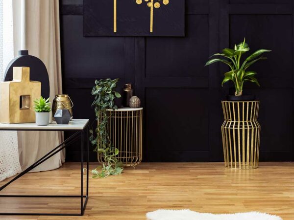 Elegant living room interior with golden accents, painting on a black wall, plants and fur rug. Real photo