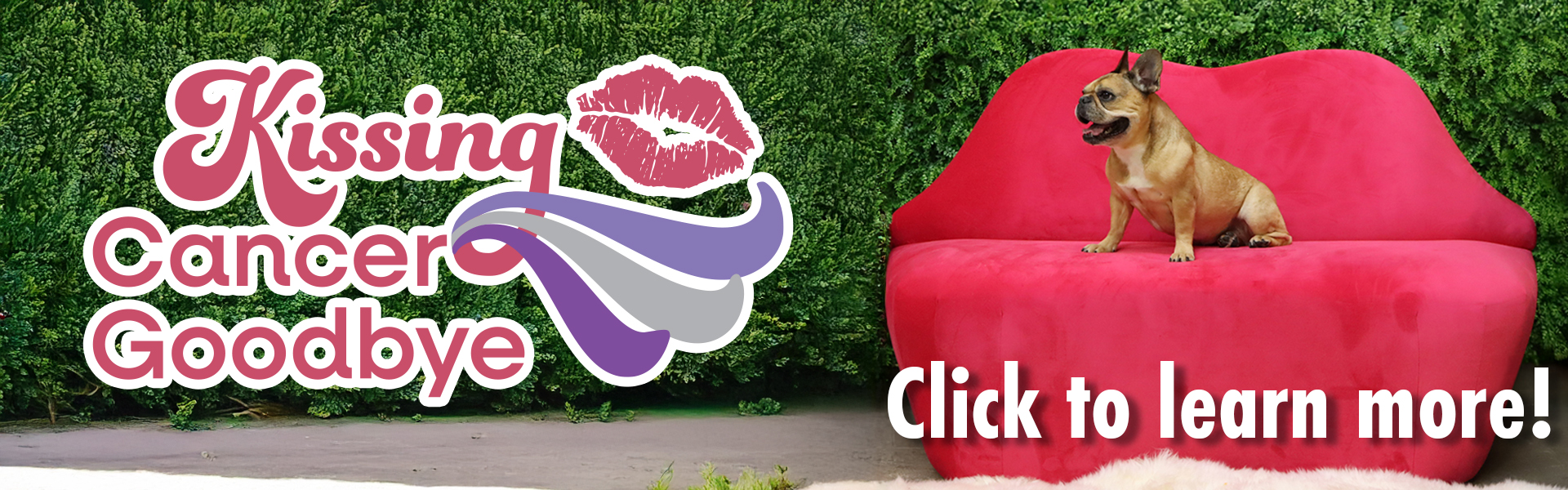 Website – Desktop Banner 1920×600 – Kissing Cancer Goodbye copy
