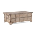 Alta Trunk Coffee Table - Image 5