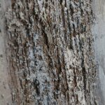 Hand-pained Stretched - Image 5