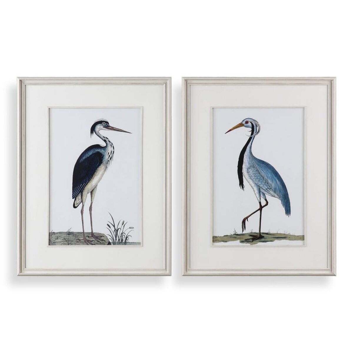 04d401773ece910a7668edb779620f27 Shore Birds Framed Prints, S/2 - Image 1