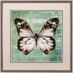 Framed Print Under Glass