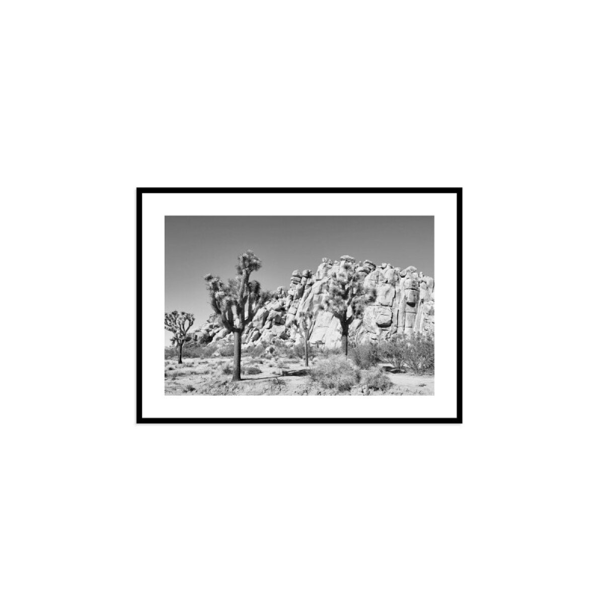 0dc92fe12afc49c85bf5685e8c0b1ceb Joshua Tree - Image 1