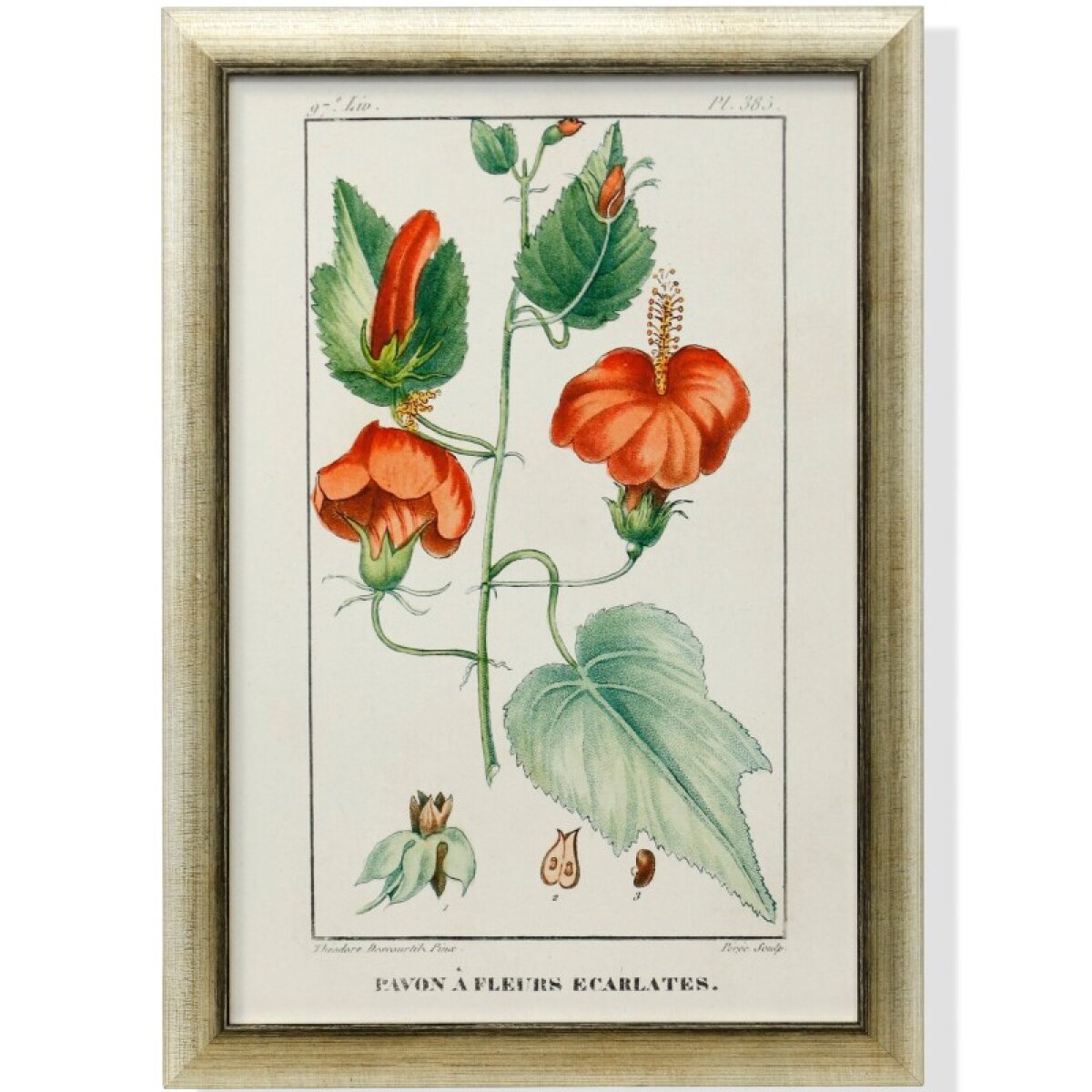 0e379085dd0d863a5cb30d9d7675f983 Framed Print Under Glass - Image 1