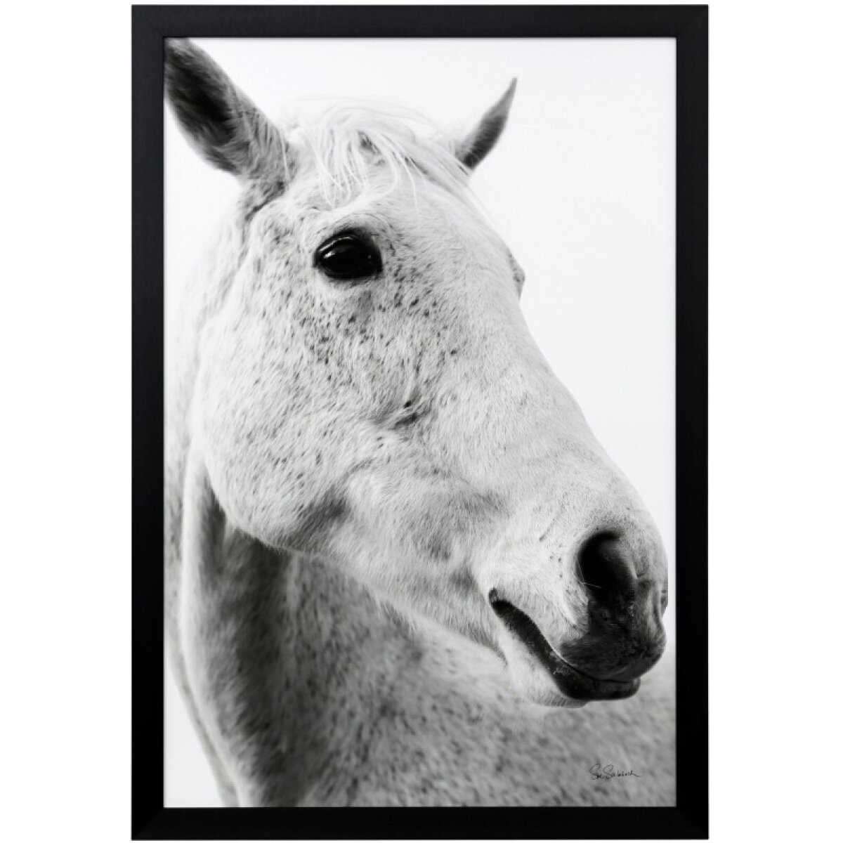 12af72fb0970444f5f8e9fd01a8c75d0 Framed Print Under Glass - Image 1