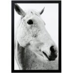 Framed Print Under Glass