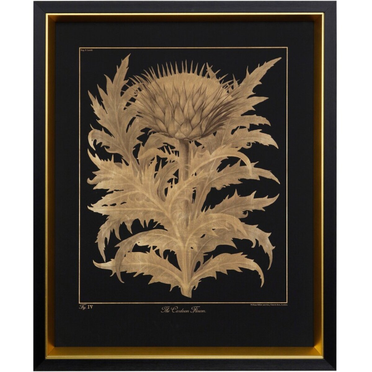 145ac65dbdd07c5ff9e8179d25a6fd04 Cardoon Flower Framed Print Under Glass - Image 1