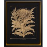 Cardoon Flower Framed Print Under Glass