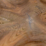 Cypress Teak Root Coffee Table - Image 7
