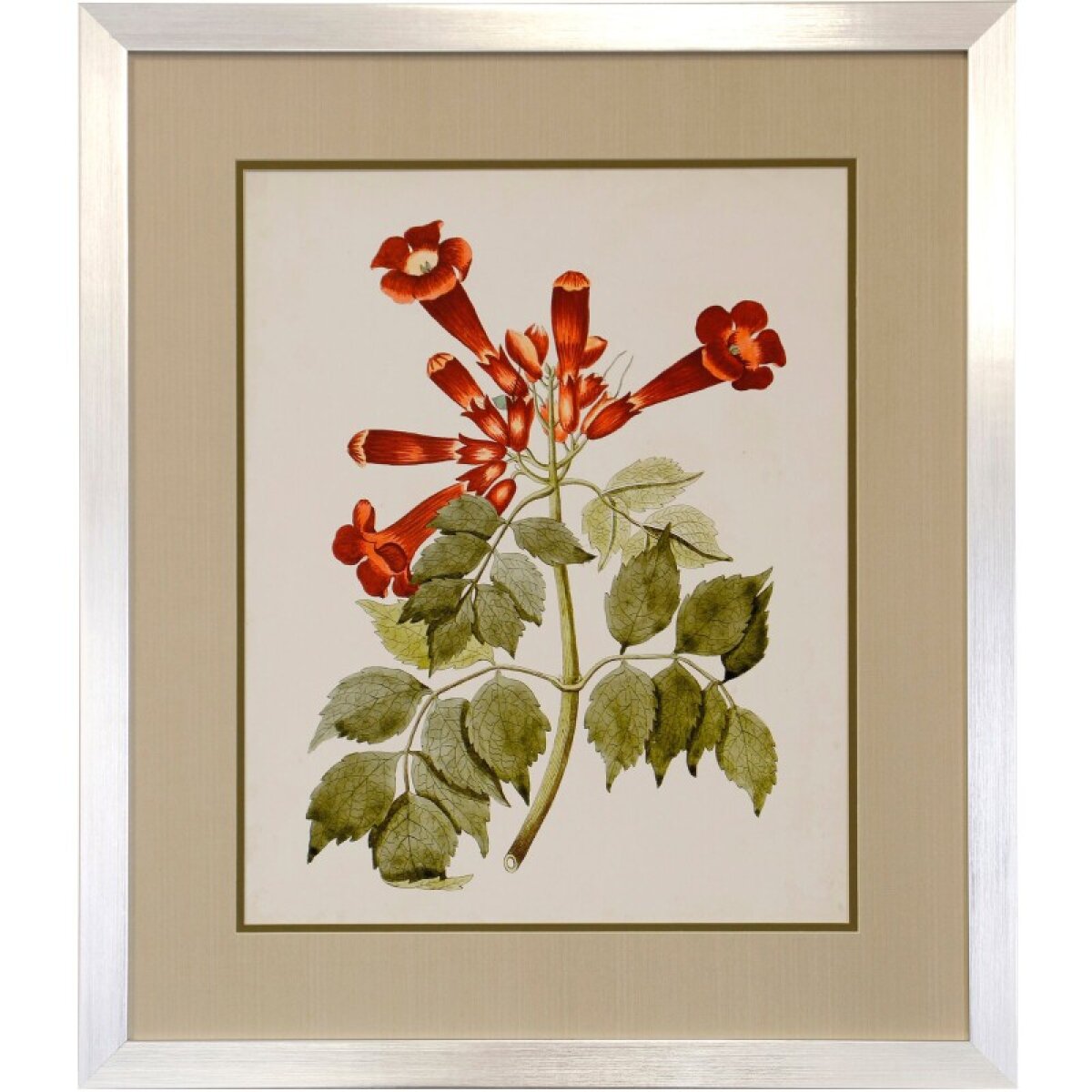 1f9c8b8244f571c530596795cb1e9e94 Flowering Trees Iv Framed Print Under Glass - Image 1