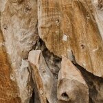 Teak Root Bunching Cube, Natural - Image 3