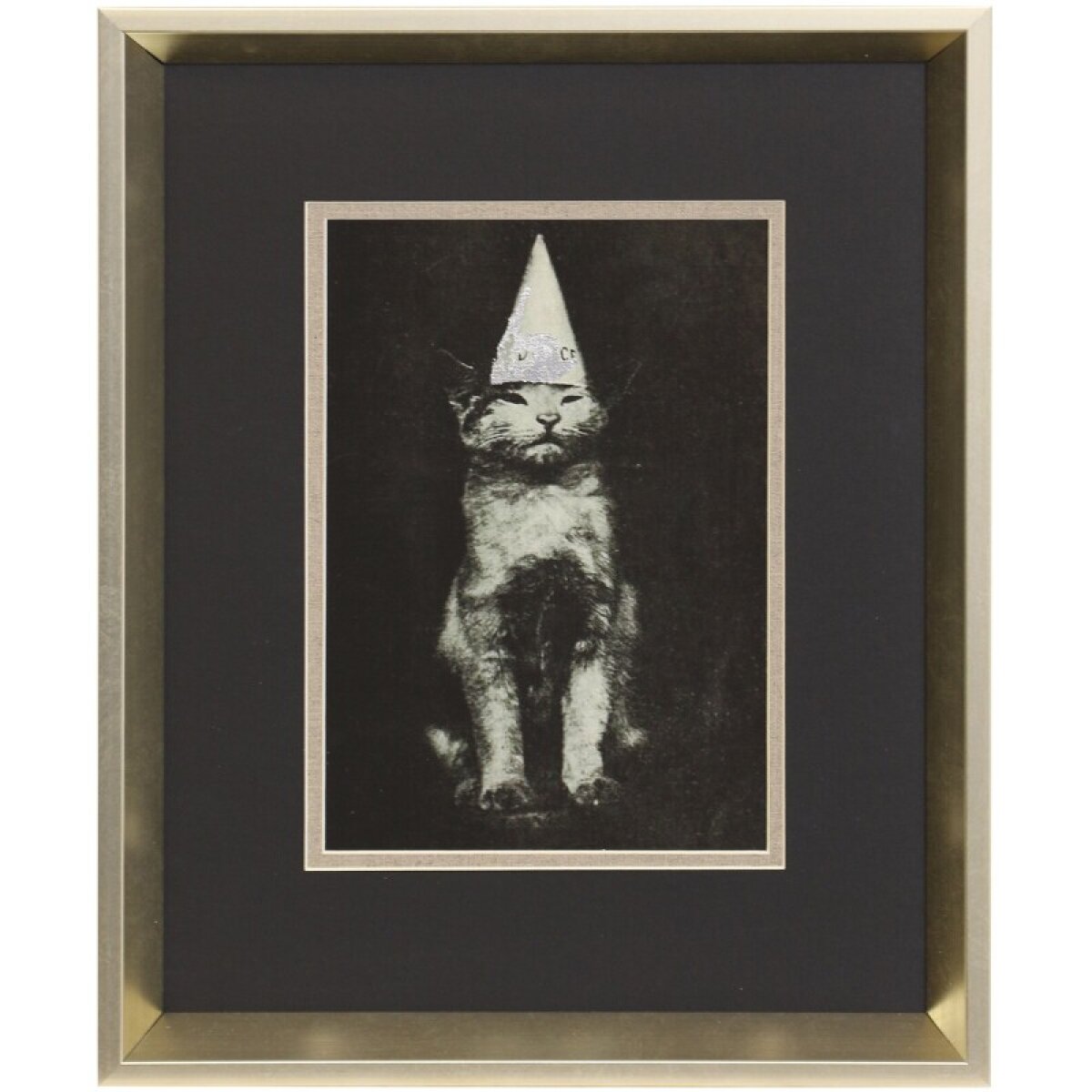 2ac79f7ff0fb51ad7961efa0c10fff86 Cat Hat Framed Print Under Glass - Image 1