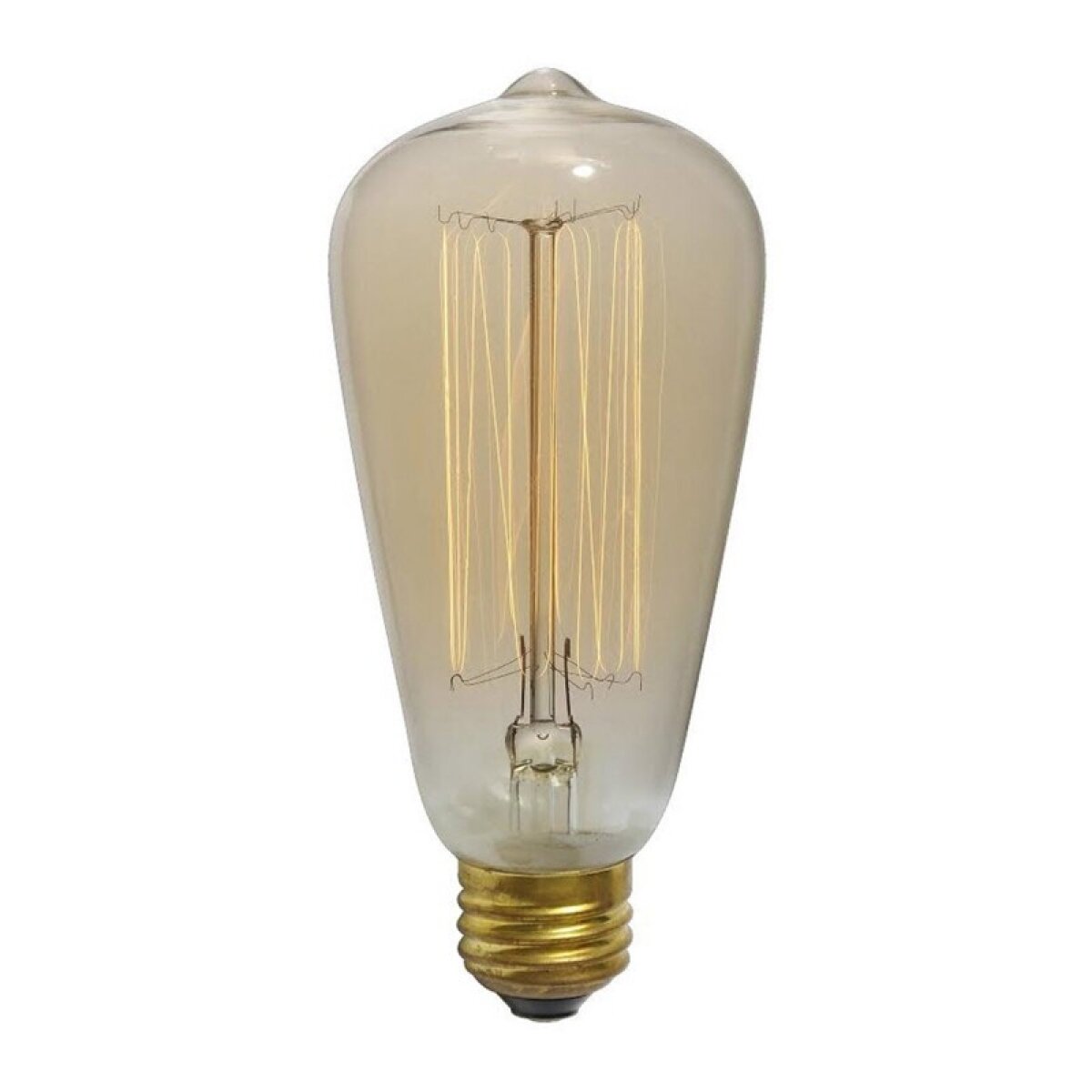 2b07b6c7533fb9382f657c6e23b1e132 Lg Edison Bulb - Image 1