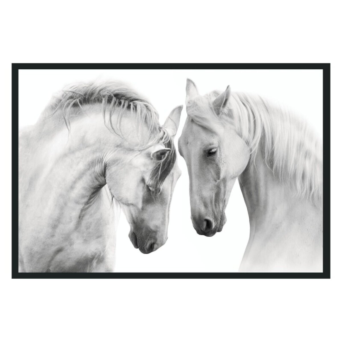 303df39ad95c9124a90b4a8875e53297 White Horses Photography - Image 1