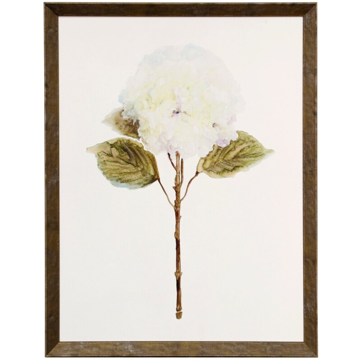 341600e4a5f28bea2fcad09c8b37a059 White Blossom Iii Framed Print Under Glass - Image 1