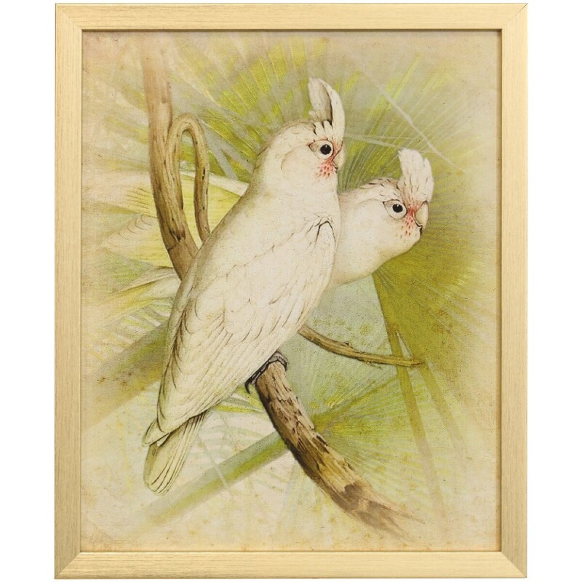 36d0e01ba25f8bdbcec91e9d2dcc73d2 Naturalist Archive Iv Tamara Day For Stylecraft Framed Print Under Glass - Image 1