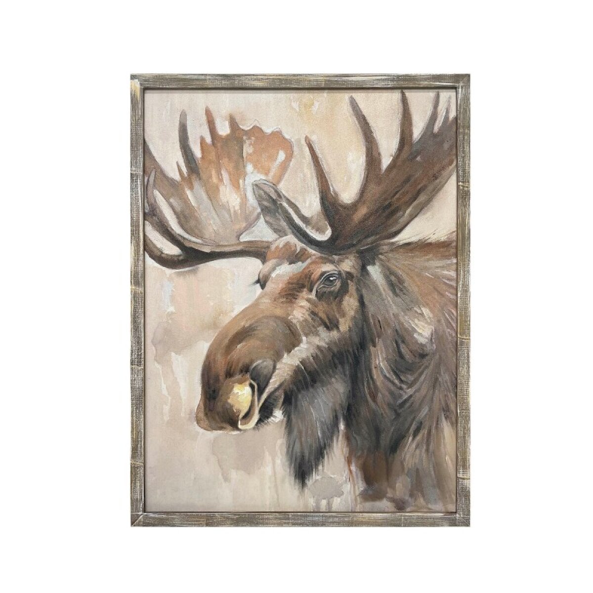 3d3cd8ef62e5884f2ee85d3b05dec779 Moose Stare - Image 1