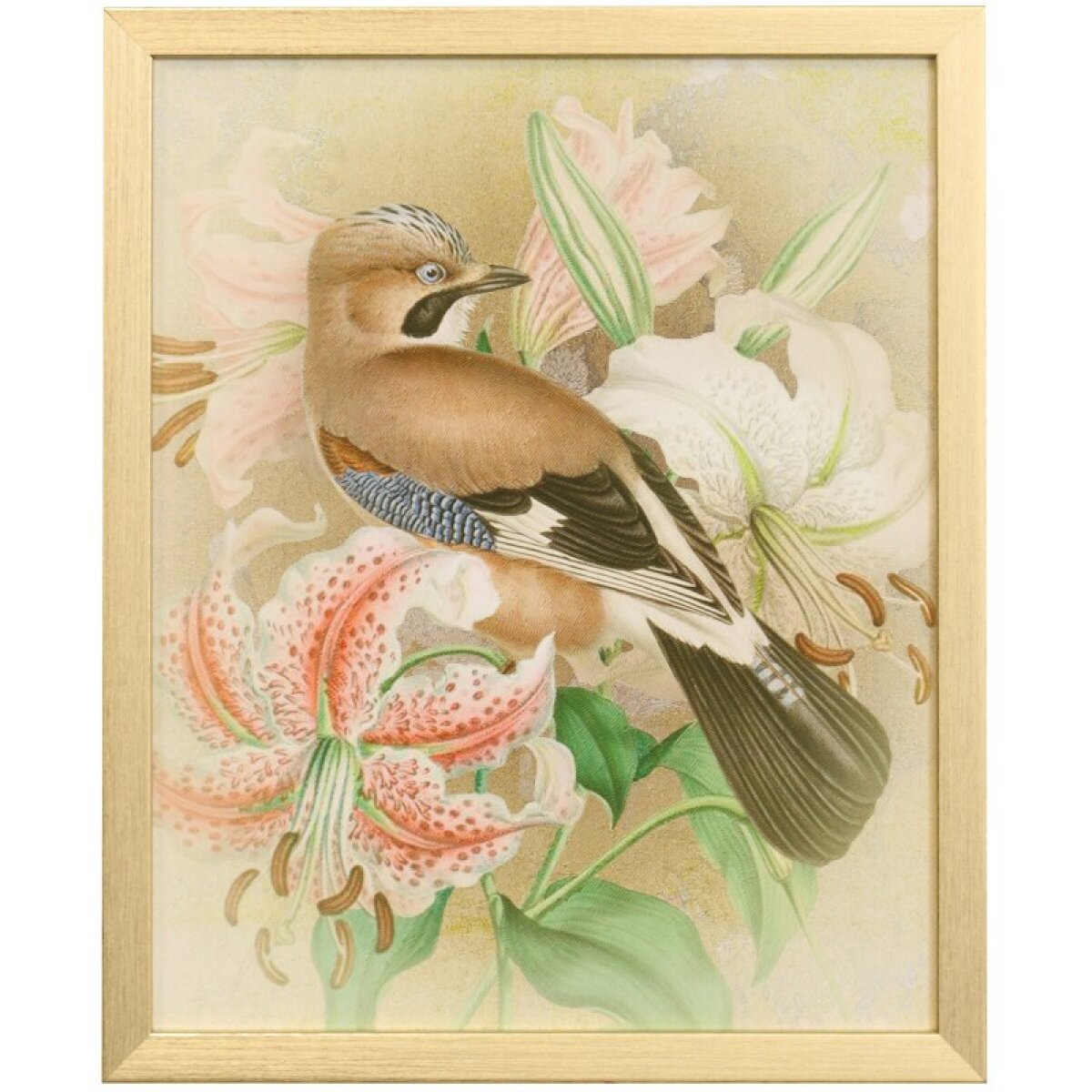 3e08e83584ee91ec8250b00e9506dede Naturalist Archive I Tamara Day For Stylecraft Framed Print Under Glass - Image 1