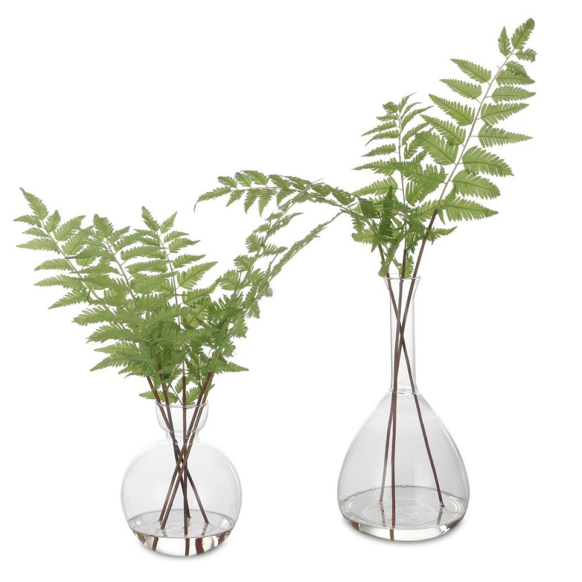 40ac0c50939d6a4c8a67c4fa62abb9fe Country Ferns, S/2 - Image 1