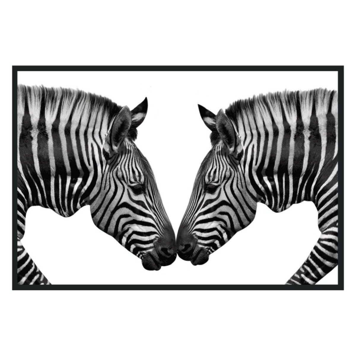 42de886c95b3147a98e29c37c61ec522 Zebras Photography 48x72 - Image 1