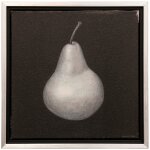 Norman Wyatt Home White Pear Framed Canvas