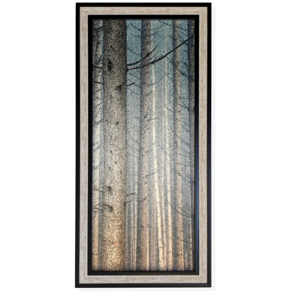 47e6edd624e7e7c05b67fb254ee5e58e Forest Dreaming I - Image 1