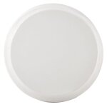 Winded Indoor-outdoor Coffee Table - Image 5