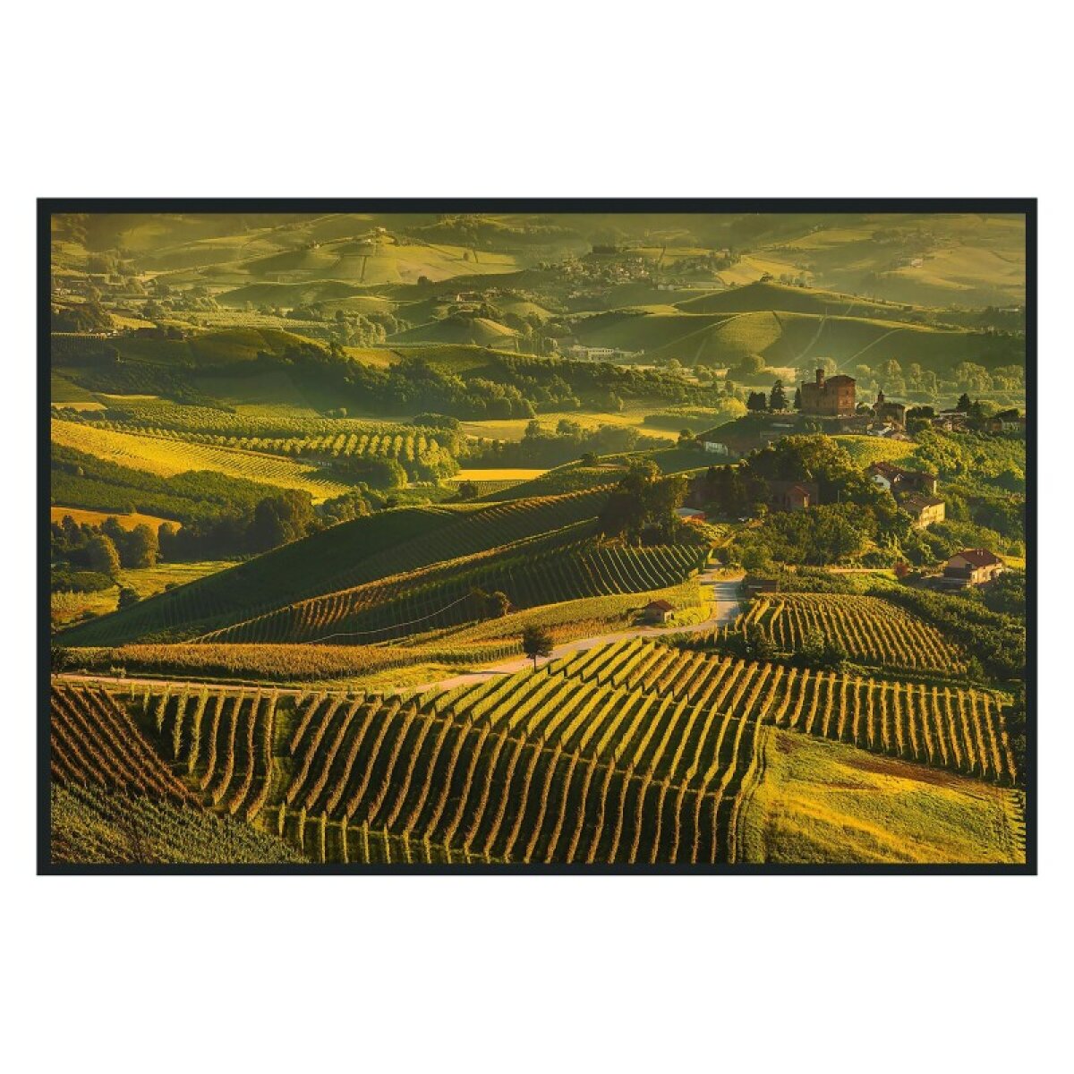 4ac81572792a3f07c8ddd1b1cbb2a8df Vinyard Photography 48x72 - Image 1
