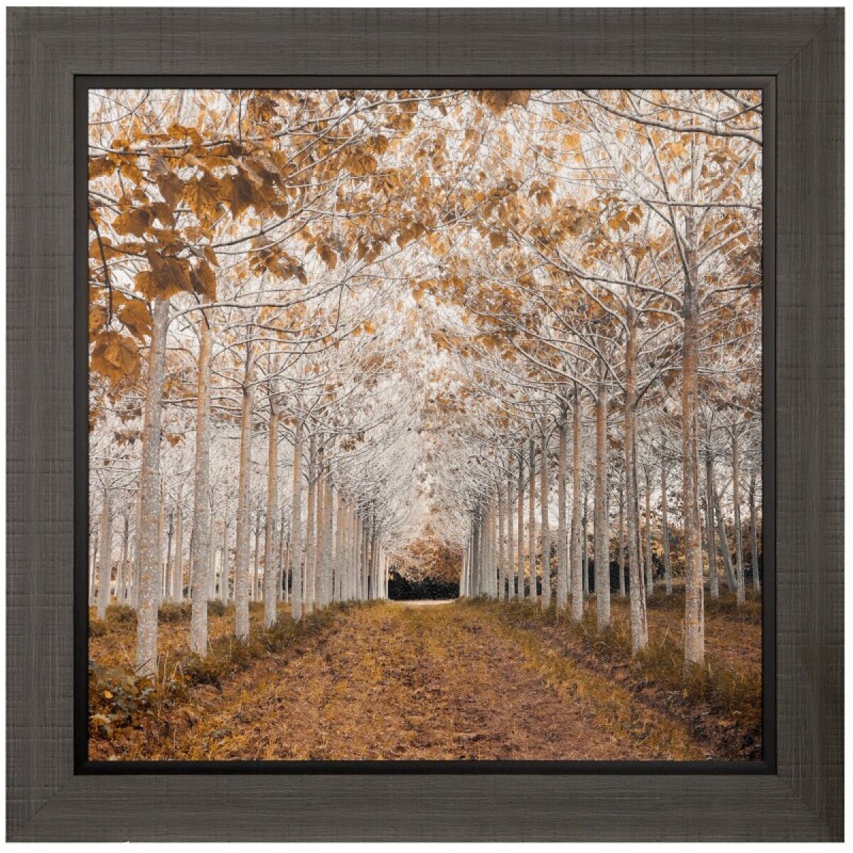 5024f32ca4cb2f765e9eb251a82d306c White Gold Textured Framed Print - Image 1