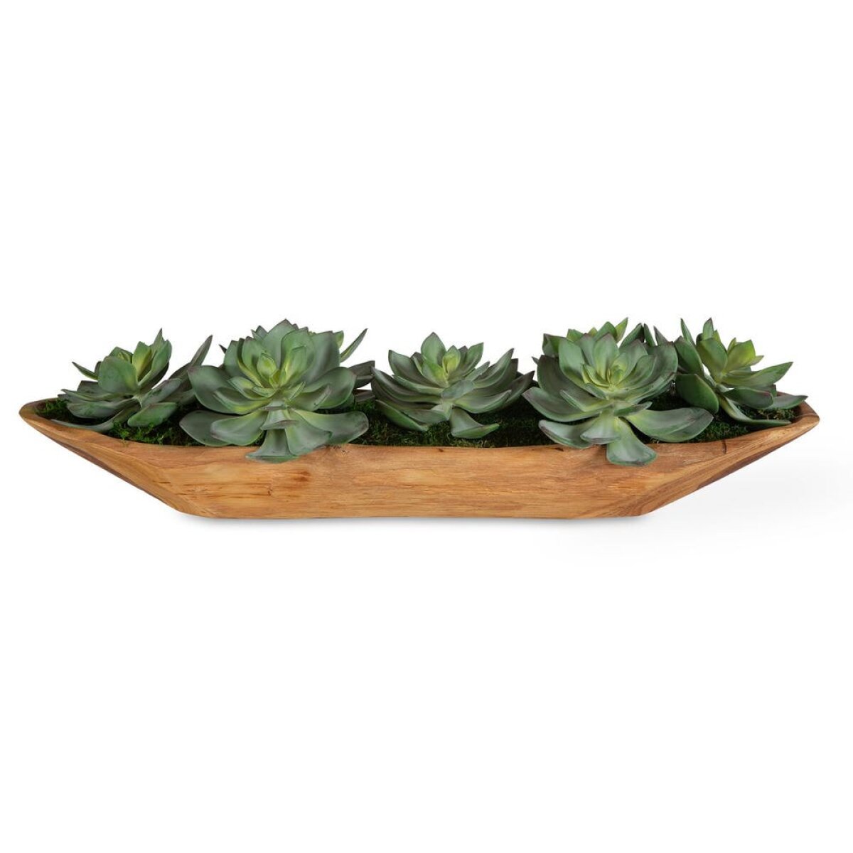 52b76a26ce7d188fac10dc4fd713c785 Yuma Succulent Centerpiece - Image 1