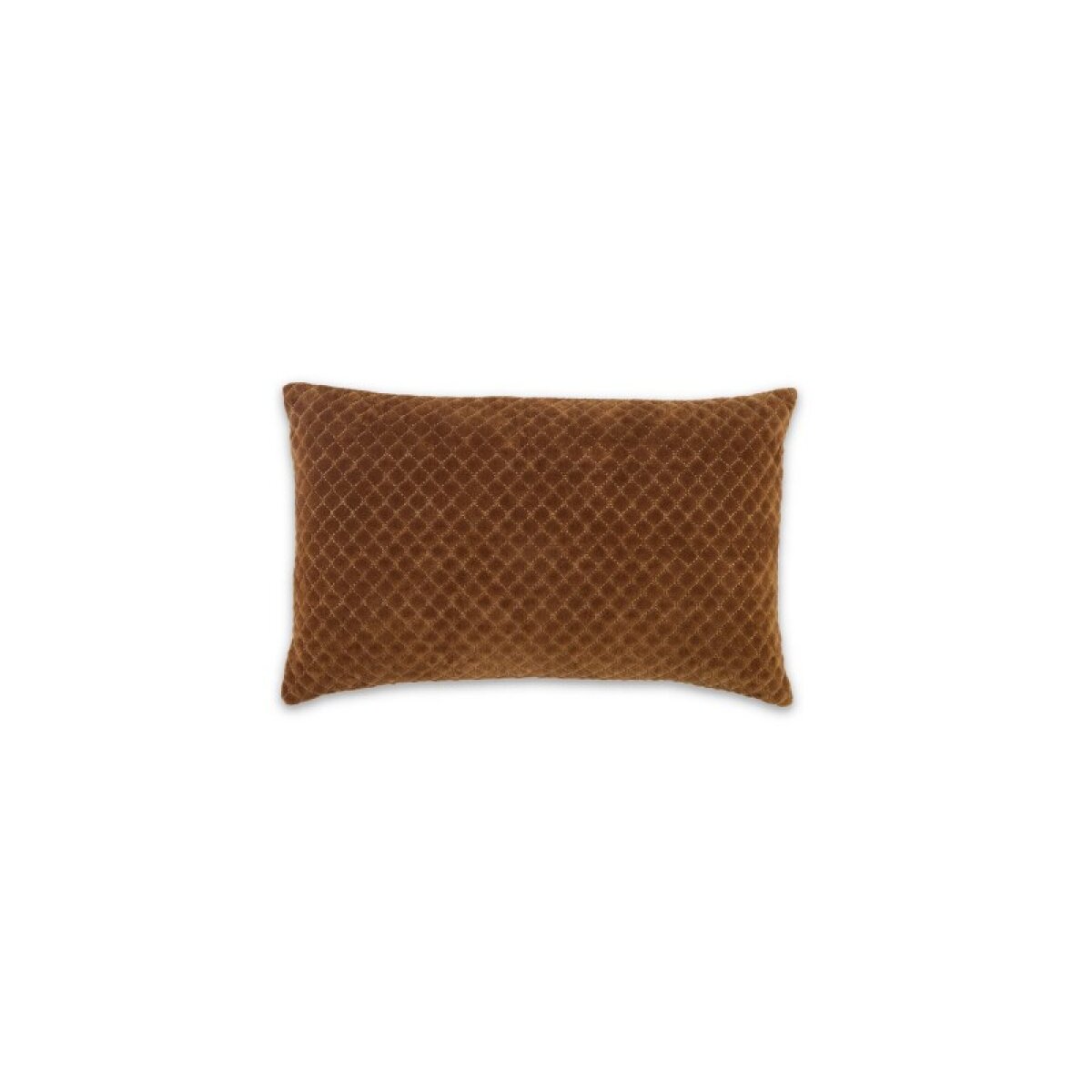 53b7042798199939eada933080172e08 Rawlings Pillow - Image 1