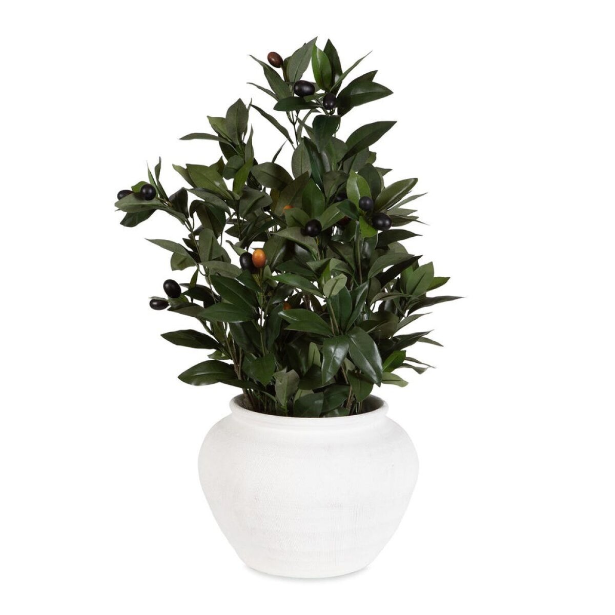 5413cfac677bb59c993e78aa9891a5a8 Elena Olive Centerpiece - Image 1