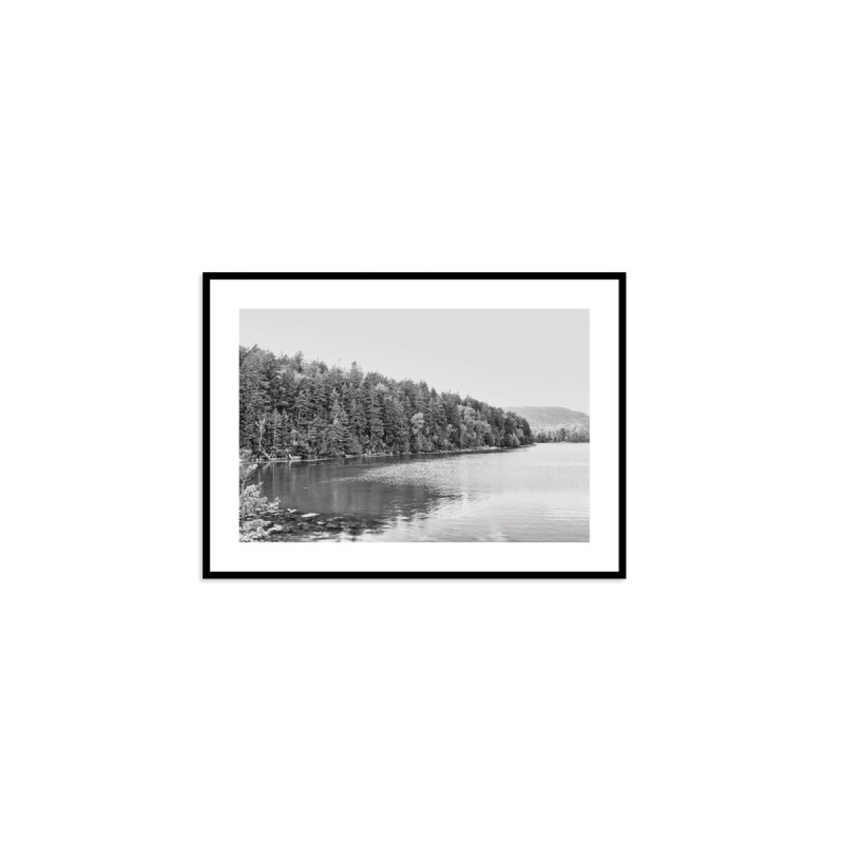 5515a4a3213e33be233640723f40f61a Acadia Tree Line - Image 1
