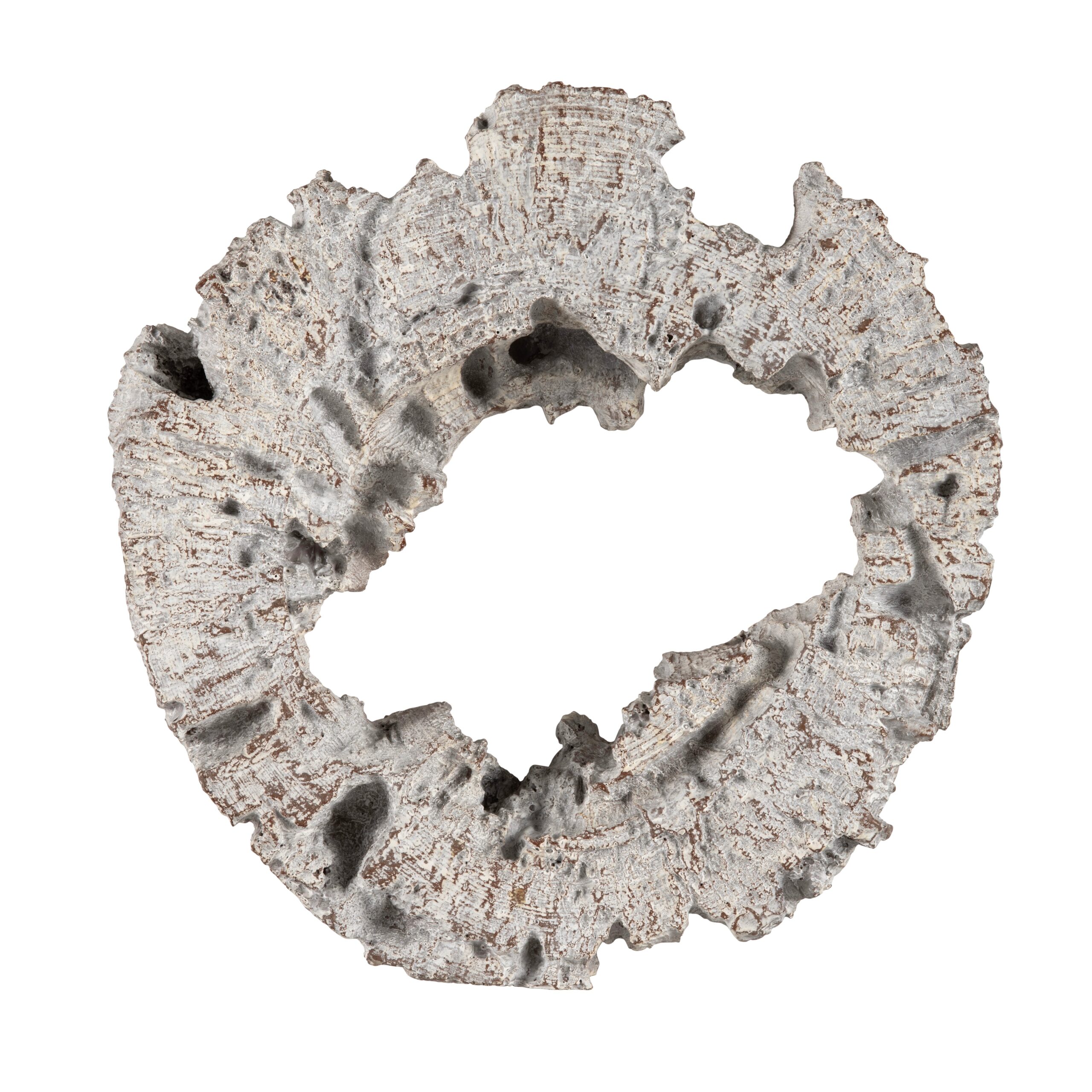 55897c87a0a8fefccbd303c4dd356441 Tripp 2 - Image 1