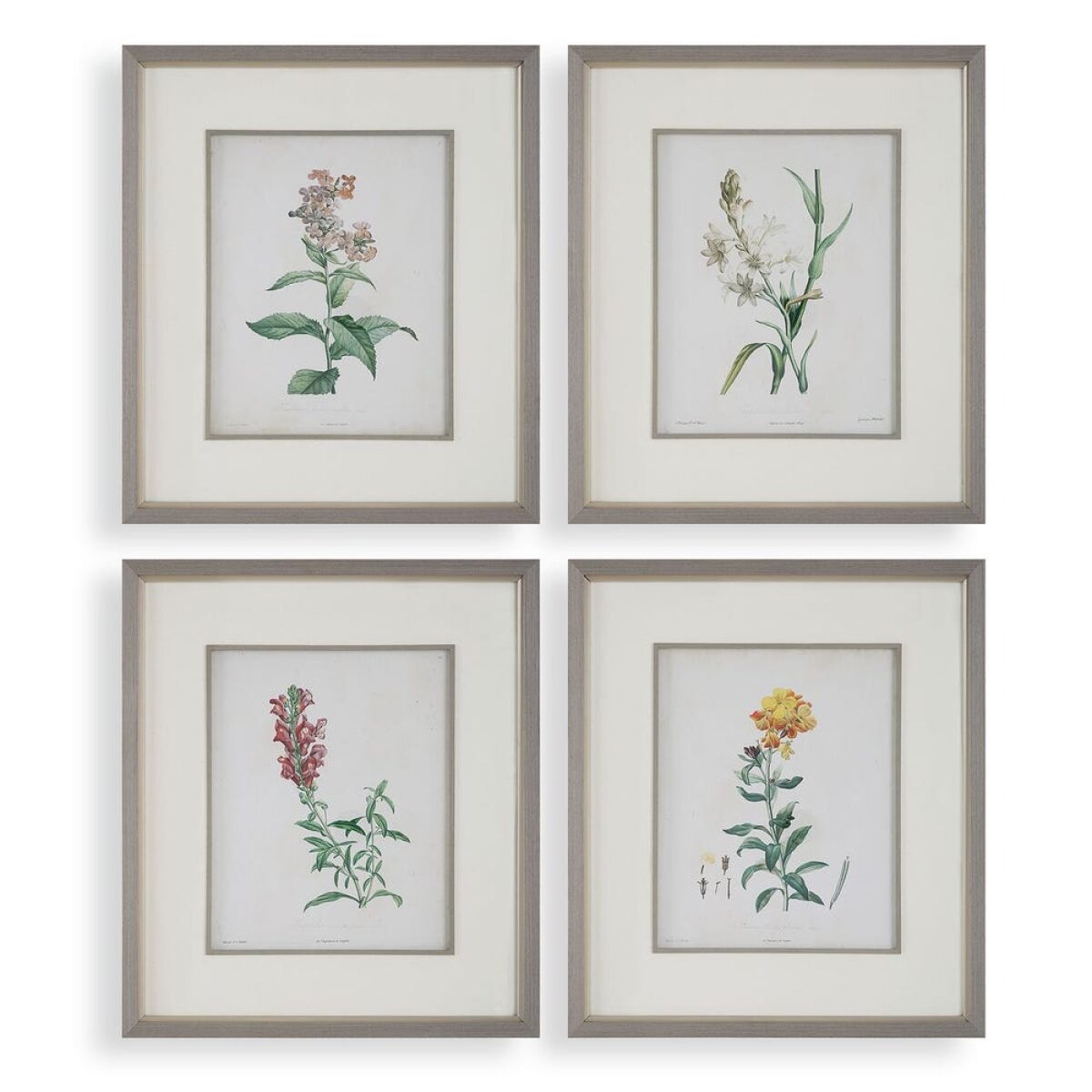 56476171cdcb096233d22692743c8c43 Heirloom Blooms Study Framed Prints, S/4 - Image 1