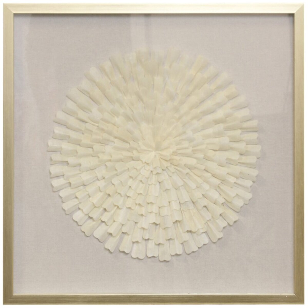5a856a8fdb5408ef6bfa5cd9b413a1fc Blooming Ivory I Flower Shadow Box Under Glass - Image 1