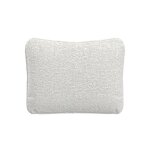 Throw Pillow (20" x 16")