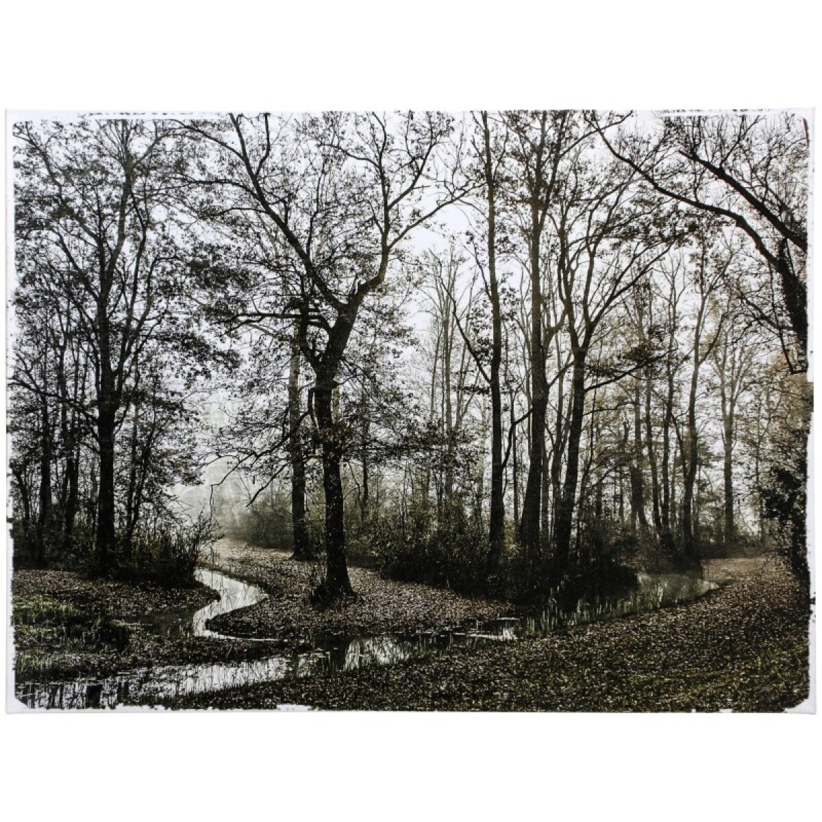 5d92eb2e73bb888273e0f1ed1a12a71d Norman Wyatt Home - Image 1