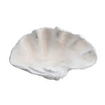 Henley Shell Sculpture - Image 3