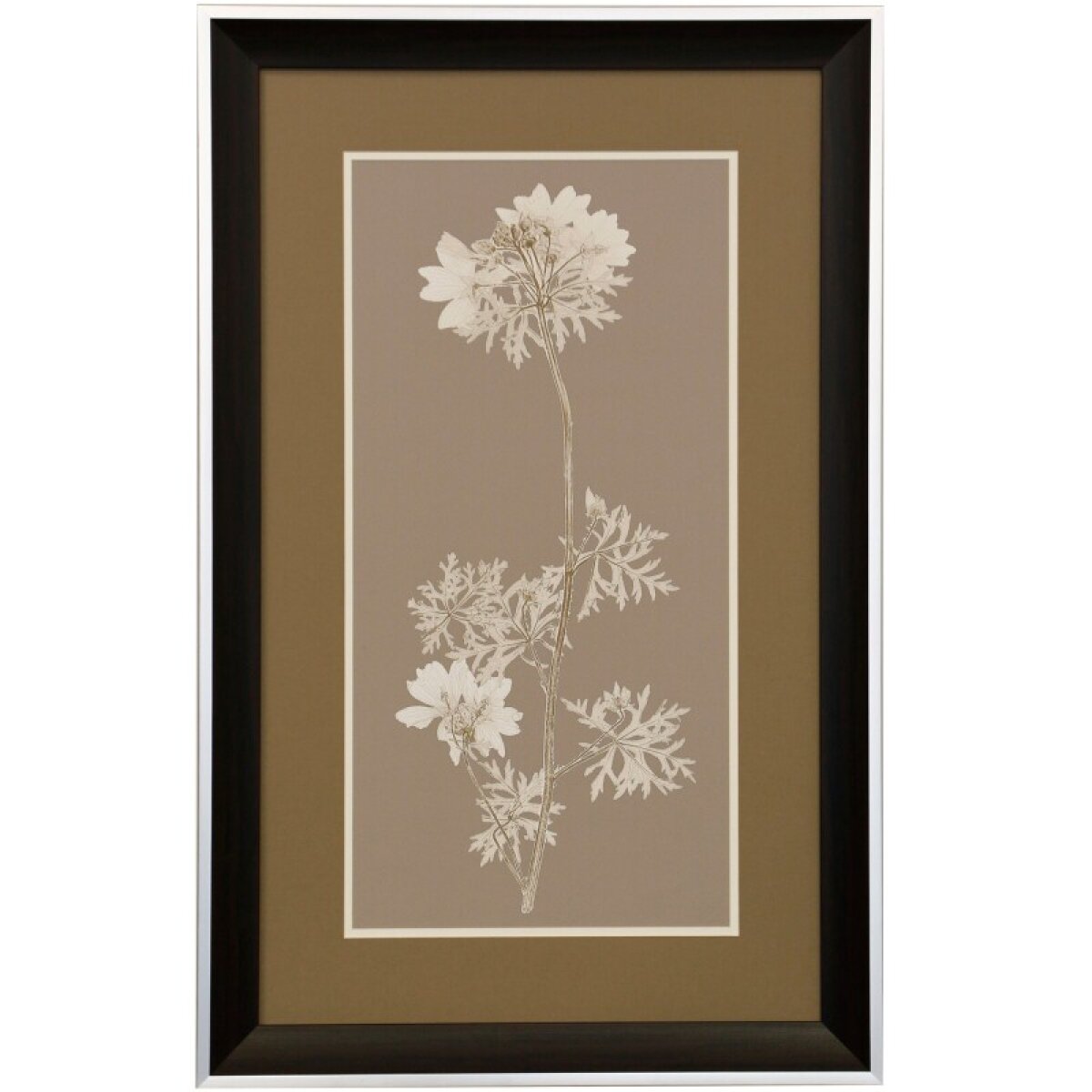 5ee9634bff48f615cc247b390ebeaa08 Taupe Natural Study Ii Framed Print Under Glass - Image 1