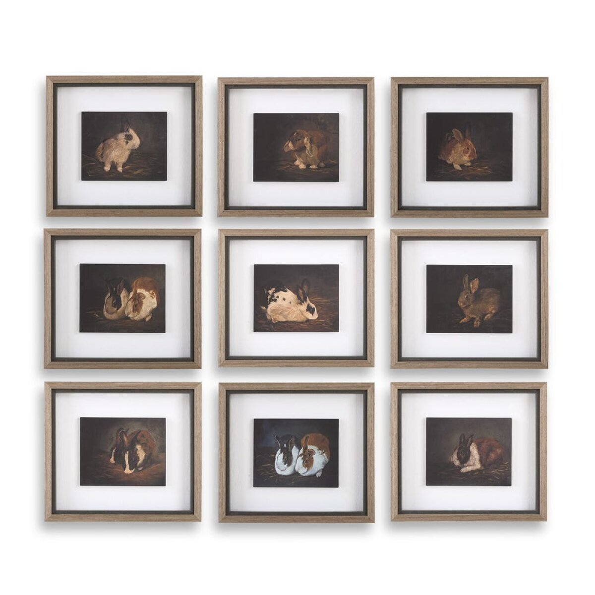 5fe79a0ac5d3dc56c7889e6455cc1275 Resting Bunny Framed Prints, S/9 - Image 1