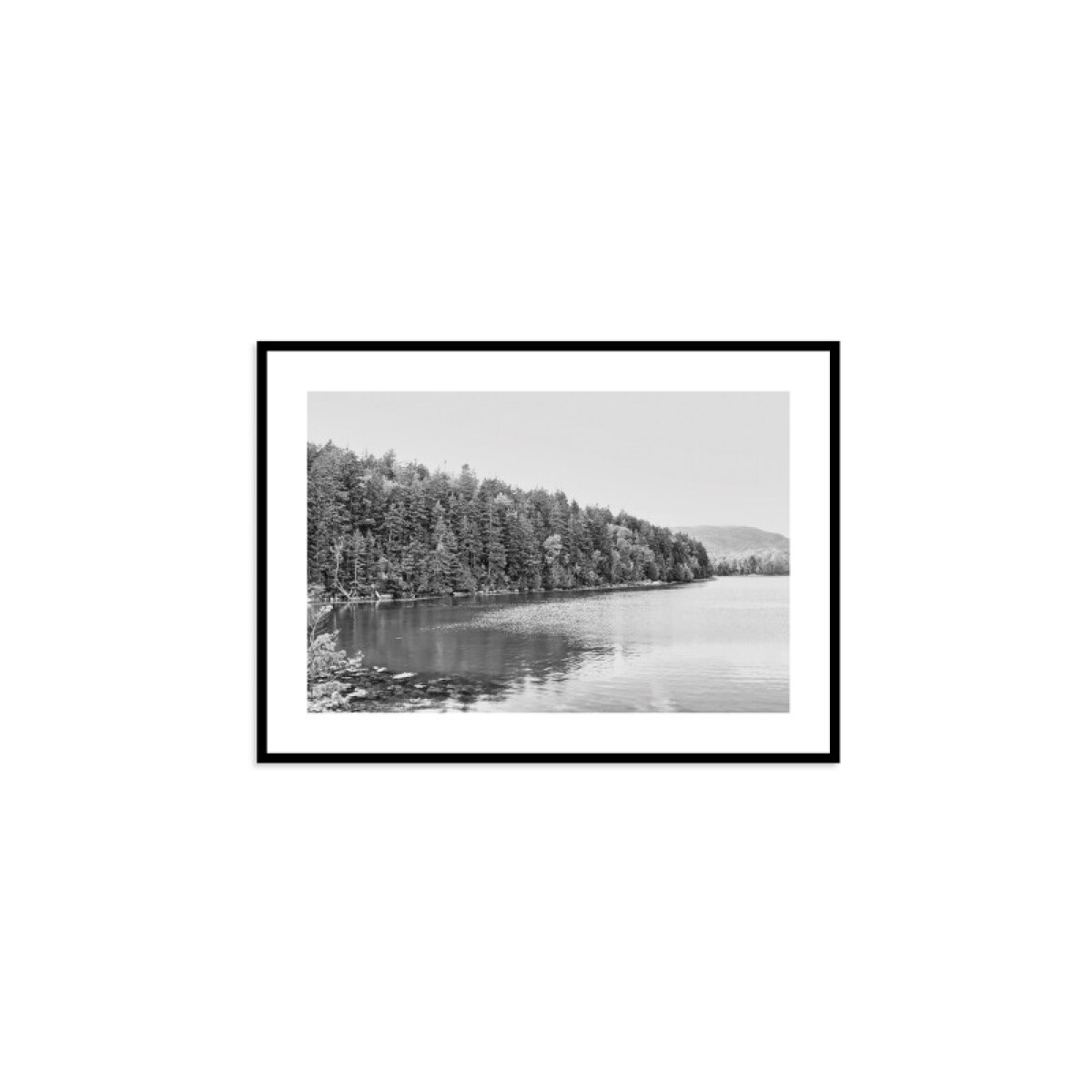 605372d98469ee38295108cc44e0646f Acadia Tree Line - Image 1