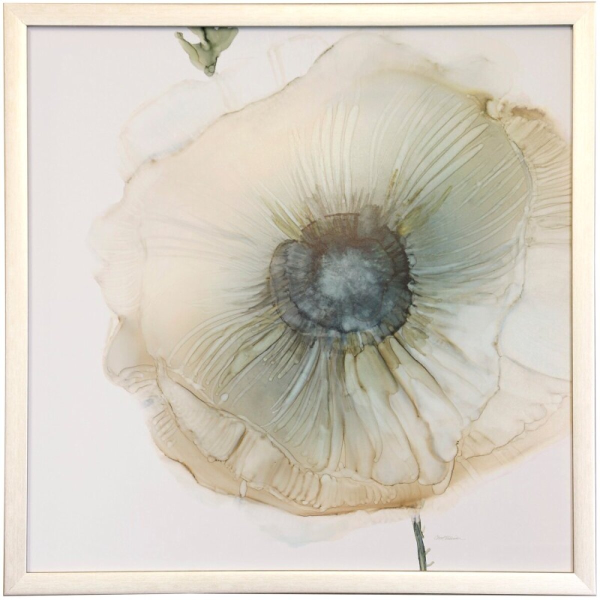6218767181a31474dc45cc0b4641fe1e Iridescent Poppy Ii Framed Print Under Glass - Image 1