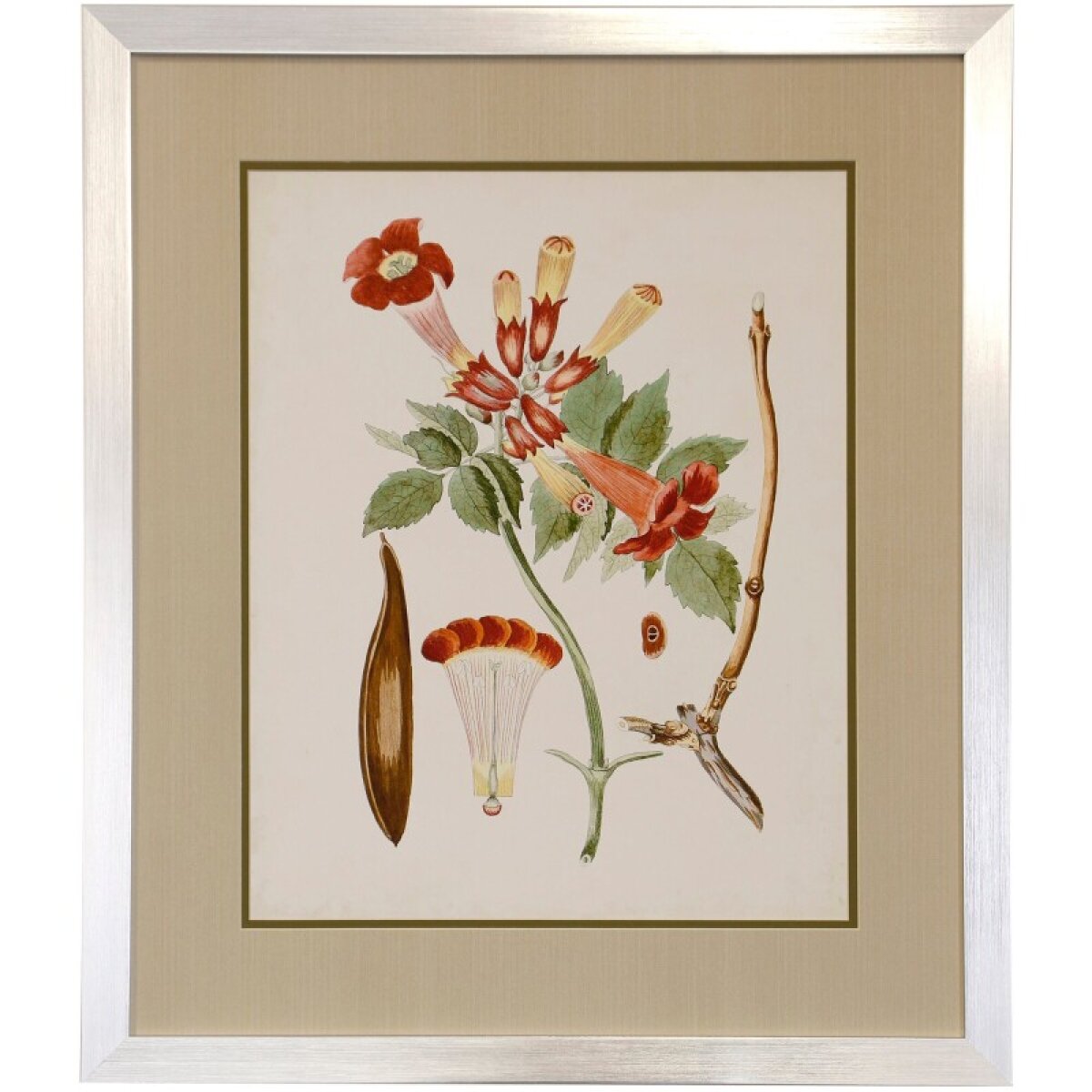 6386f4770cbdc4713e44d93f11a7605d Flowering Trees Iii Framed Print Under Glass - Image 1