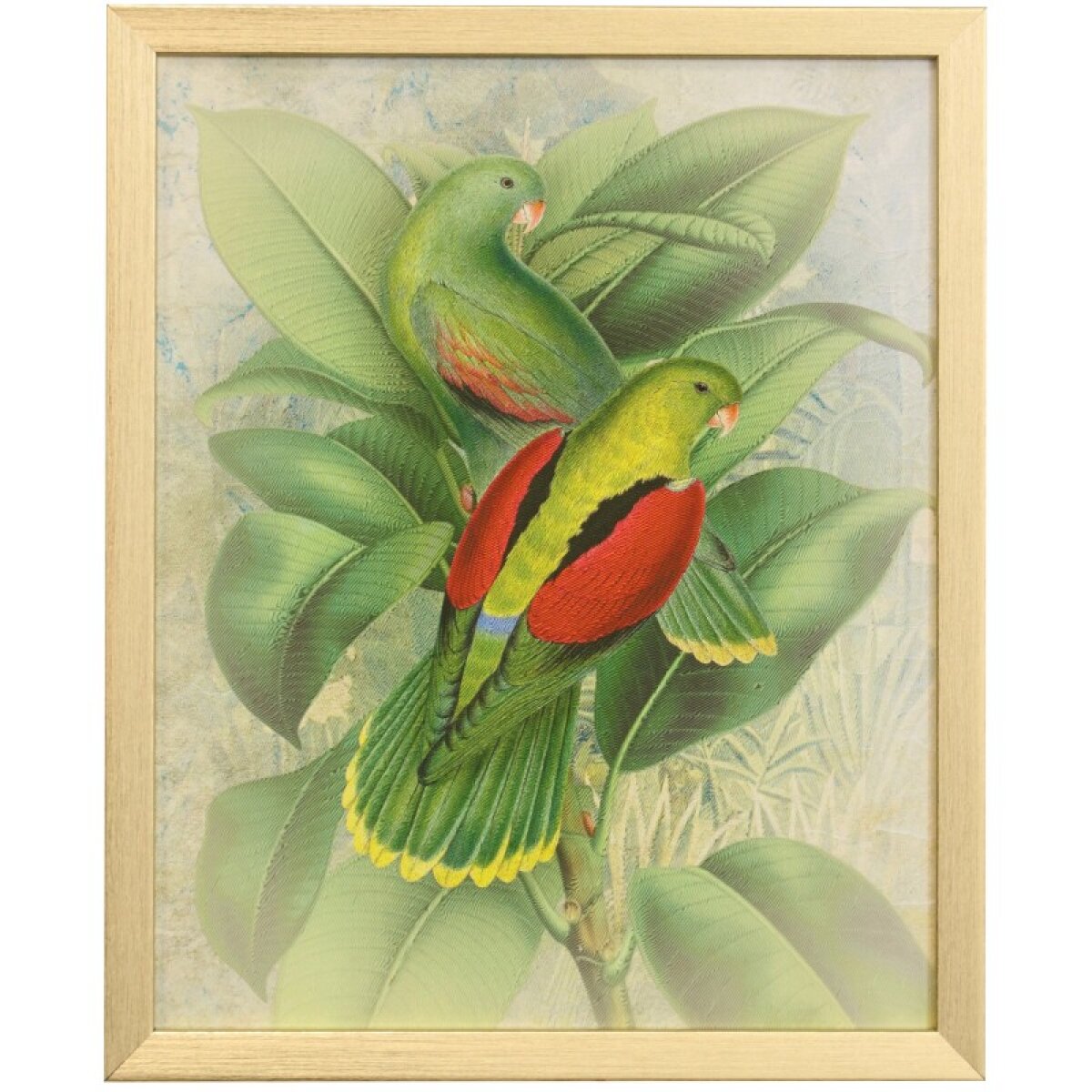 6441da170c484a55a29d4d5d1c824033 Naturalist Archive Vi Tamara Day For Stylecraft Framed Print Under Glass - Image 1