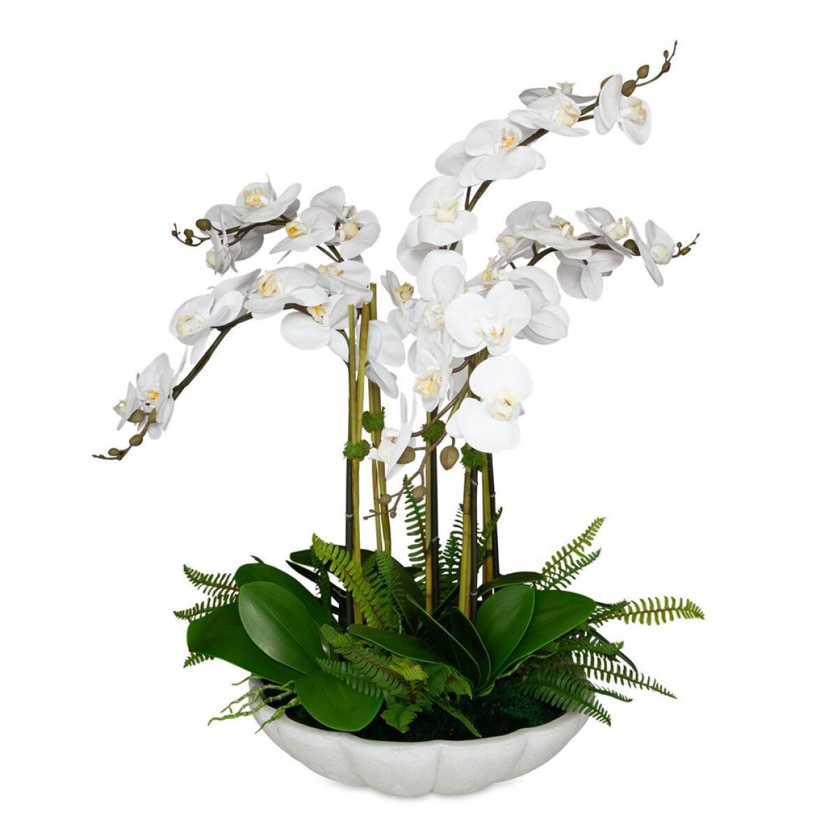 64c292ddaed7ed3e2a9e7b7e5ba3a38c Flourish Orchid Centerpiece - Image 1