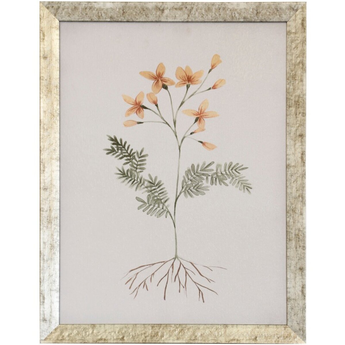 67b65b2eca10d6484dd5443888a84b80 Orange Flower Textured Framed Print - Image 1