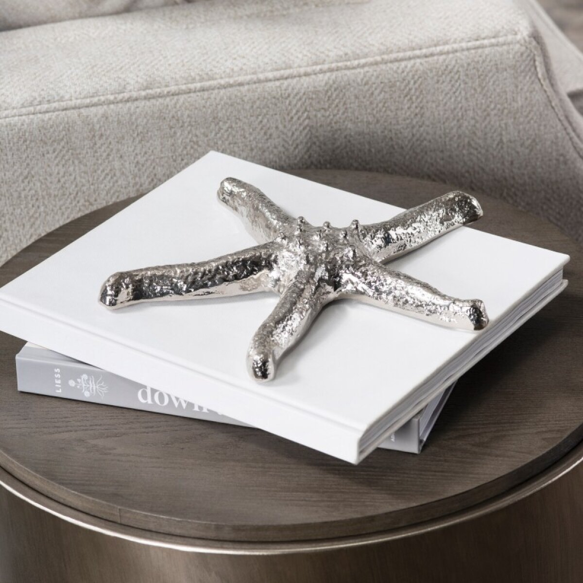 68329b80f06fad11d045a43838a83681 Silver Starfish - Image 1