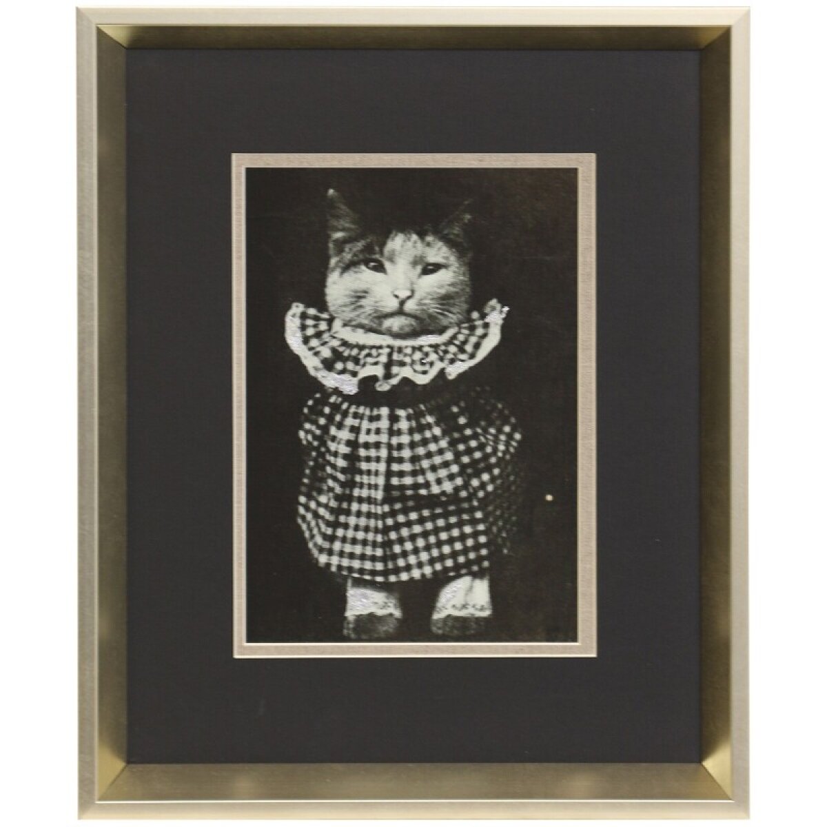 6cf704732ebbb209d13a8403c4d9a5fc Cat Check Framed Print Under Glass - Image 1