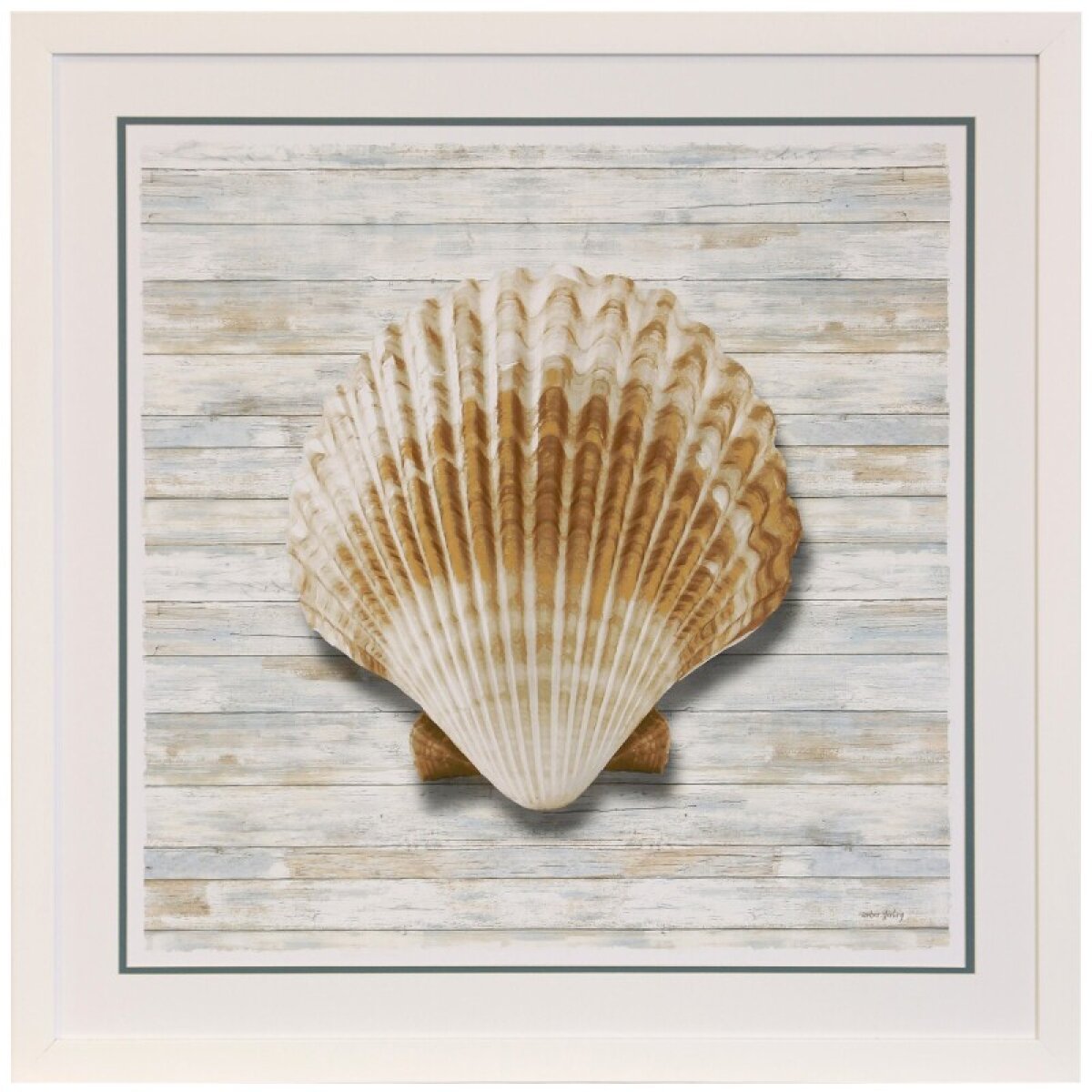 6d7dc0d74a41d2c7d1cad5a4f37024ce Seashells Iv Framed Print Under Glass - Image 1